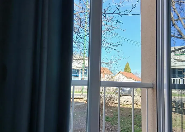 Luciano أراندجيلوفاك